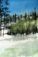 Pecos                Wilderness Sketch III