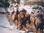 Buffalo Hunt Study II